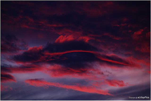 <a href="https://www.flickr.com/photos/elkaypics/9059309621/">"Firefish in the sky" by eLKayPics / Lutz Koch, CC BY-NC-ND 2.0</a>