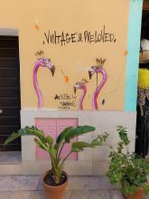 Street art: three flamingos with each glasses and a crown. Above them the text "Vintage & Preloved". Below a potted plant.
